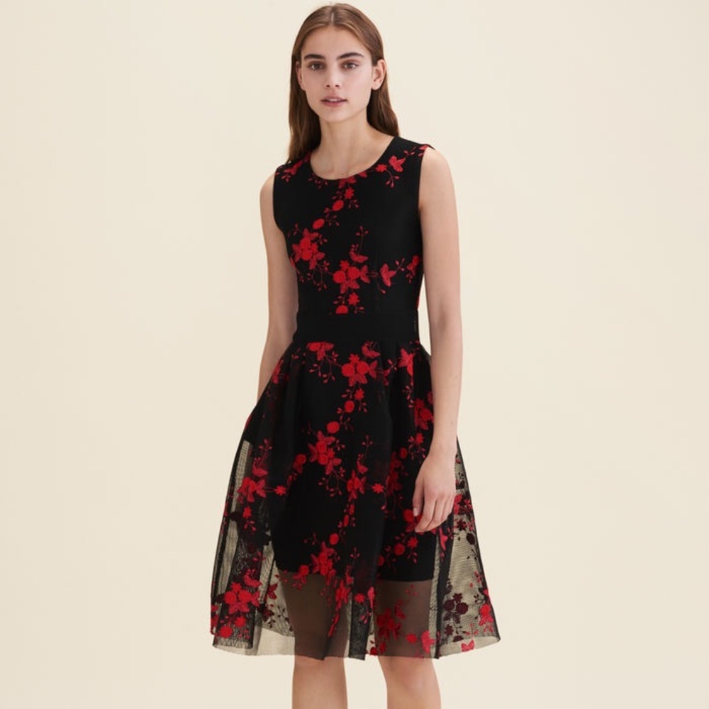 Tulle Sleeves embroidery dress